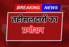 Promotion of Tehsildars डिप्‍टी कलेक्‍टर बनाए गए डेढ़ दर्जन तहसीलदार, देखिए पूरी सूची