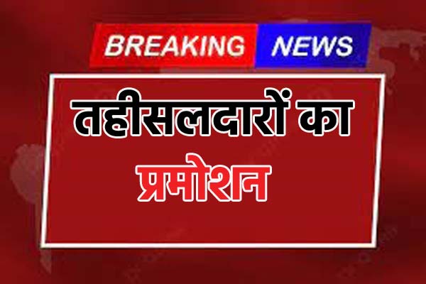 Promotion of Tehsildars डिप्टी कलेक्टर बनाए गए डेढ़ दर्जन तहसीलदार, देखिए पूरी सूची