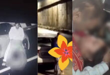 Viral Video वायरल हो रहा धाकड़ जैसा छत्‍तीसगढ़ का वीडियो, जानिए क्‍या है सच्‍चाई