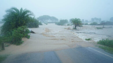 Flood in Bastar छत्‍तीसगढ़ में बाढ़ का कहर: 5 की मौत, राहत शिविरों में रखे गए 21 सौ से ज्‍यादा लोग