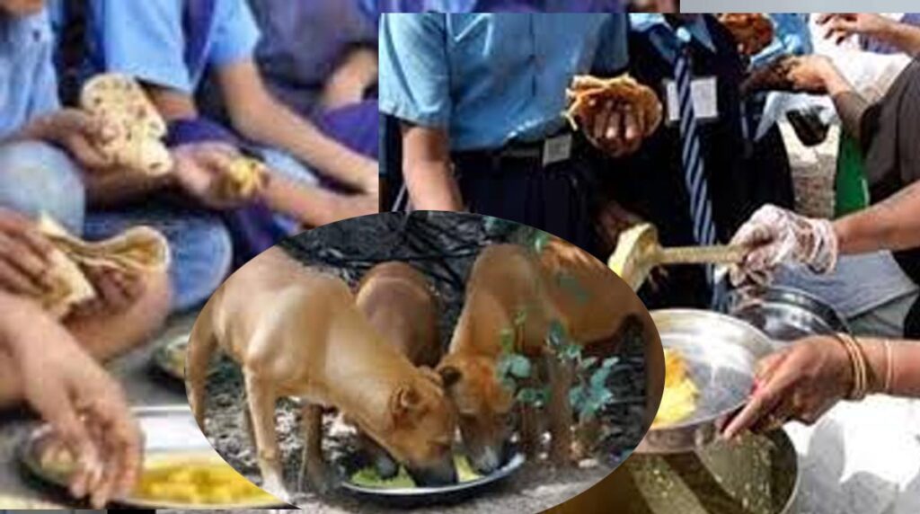 mid day meal छत्‍तीसगढ़ के इस स्‍कूल में बच्‍चों को खिला दिया कुत्‍तों का जूठा खाना: मचा हड़कंप...