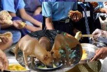mid day meal छत्‍तीसगढ़ के इस स्‍कूल में बच्‍चों को खिला दिया कुत्‍तों का जूठा खाना: मचा हड़कंप...