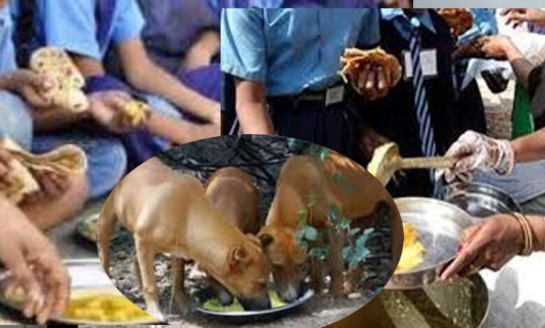 mid day meal छत्‍तीसगढ़ के इस स्‍कूल में बच्‍चों को खिला दिया कुत्‍तों का जूठा खाना: मचा हड़कंप...