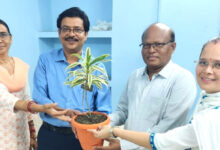 CSPC बिजली कंपनी मुख्यालय में न्यूरो व ऑर्थो जांच शिविर: 100 से ज्यादा ने कराया जांच, सबसे ज्यादा मिले ऑस्टियोपोरोसिस के मरीज