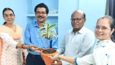 CSPC बिजली कंपनी मुख्यालय में न्यूरो व ऑर्थो जांच शिविर: 100 से ज्यादा ने कराया जांच, सबसे ज्यादा मिले ऑस्टियोपोरोसिस के मरीज