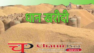 Dhan Kharidi छत्‍तीसगढ़ में धान खरीदी शुरू करने की तारीख और लक्ष्‍य तय: कैबिनेट की अगली बैठक लगेगी मुहर