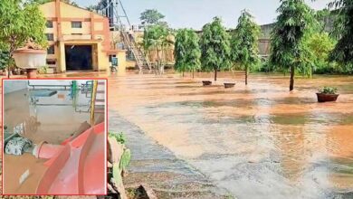 CSPGCL पॉड से हो रहे रिसाव पर प्रबंधन ने नहीं दिया ध्‍यान! एचटीपीपी संयंत्र एरिया के हाइडल परिसर में भरा पानी
