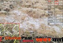 CG Weather छत्‍तीसगढ़ में कड़ाके की ठंड: 4 डिग्री तक लुढका पारा, पहाड़ से मैदान तक शीतलहर