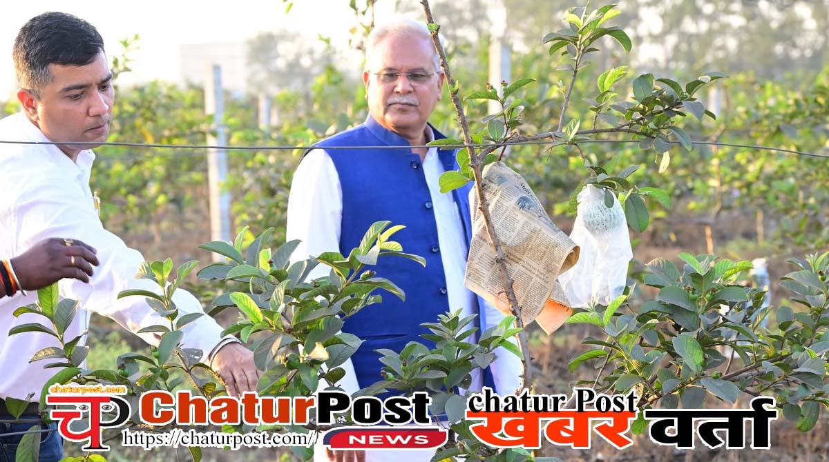 Chaitanya Baghel चैतन्‍य बघेल ने बताई जेल के 168 दिन की कहानी: भविष्‍य की राजनीति का दिया संकेत, पूर्व CM का भी पोस्‍ट ...