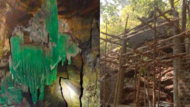 Green Cave CG की ग्रीन गुफा पर हाईकोर्ट सख्त: कोर्ट ने कहा- विरासत को खतरा हो तो पर्यटन से रोकी जा सकती है एंट्री