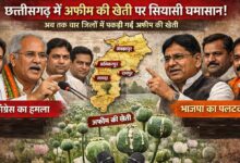Afim Ki Kheti  छत्‍तीसगढ़ में एक के बाद एक अफीम की खेती के मामले उजागर हो रहे हैं इसकी वजह से प्रदेश में अफीम पर राजनीति होने लगी है, सरकार और कांग्रेस