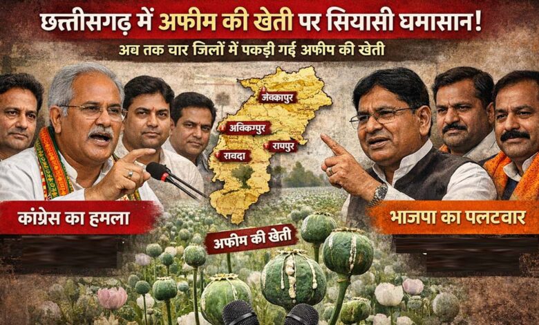 Afim Ki Kheti  छत्‍तीसगढ़ में एक के बाद एक अफीम की खेती के मामले उजागर हो रहे हैं इसकी वजह से प्रदेश में अफीम पर राजनीति होने लगी है, सरकार और कांग्रेस
