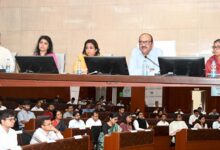 बस्‍तर को लेकर सरकार का बड़ा प्लान:  8 जिलों की अर्थव्यवस्था बदलने की तैयारी, विकास का नया ब्लूप्रिंट