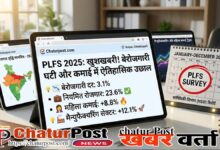 PLFS Annual Report 2025 India