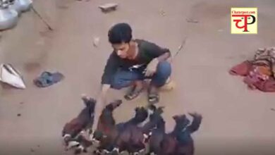 Indian Giant Squirrel