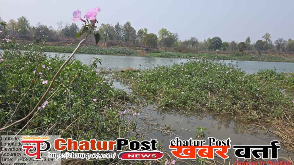 Wildlife Protection Chhattisgarh