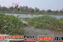 Wildlife Protection Chhattisgarh