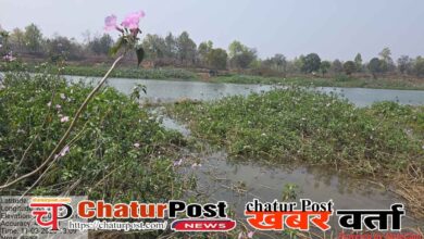 Wildlife Protection Chhattisgarh