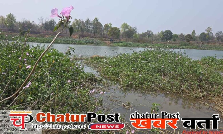 Wildlife Protection Chhattisgarh