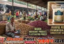 रायपुर मंडी में आलू-प्याज के दामों में गिरावट, जबकि जवाफूल चावल के दाम सातवें आसमान पर।