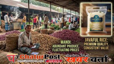 रायपुर मंडी में आलू-प्याज के दामों में गिरावट, जबकि जवाफूल चावल के दाम सातवें आसमान पर।