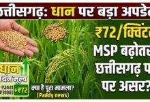 धान का समर्थन मूल्य