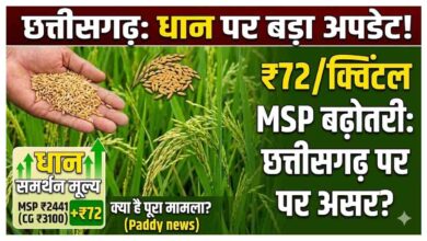 धान का समर्थन मूल्‍य