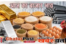 Raipur Mandi Bhav
