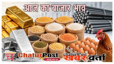 Raipur Mandi Bhav