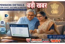 Pension Adalat Guidelines