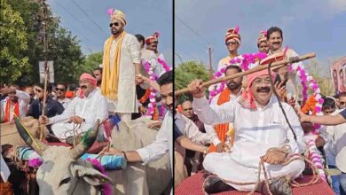 BJP MLA Dipesh Sahu Marriage