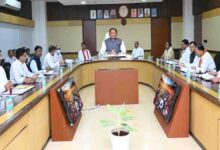 Chhattisgarh Transfer Ban