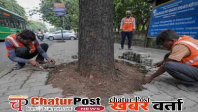 Tree Protection Order
