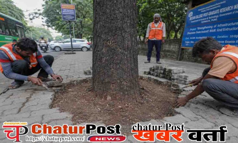 Tree Protection Order