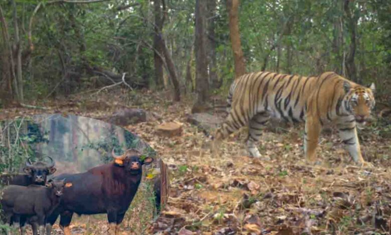 Eco-Tourism