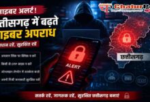 Cyber Fraud